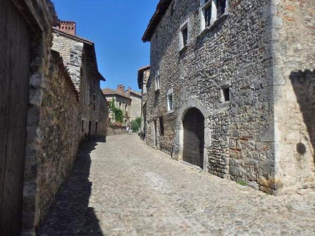 101 VOYAGE DANS L AIN 2016 - MUSEE DE PEROUGES 2_000022.jpg